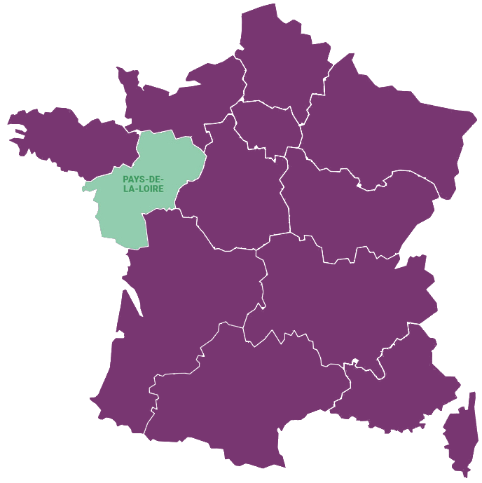 Devis électricien Pays de la Loire