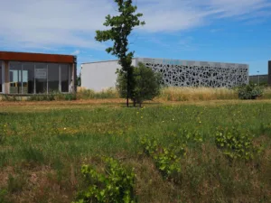 HABILIS à Calvisson