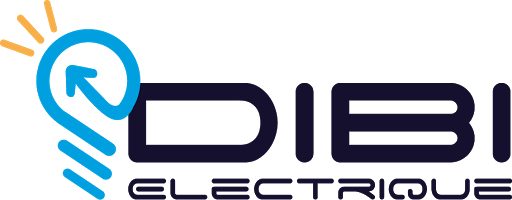 Dibi Electrique