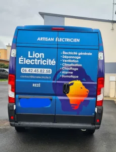 Lion Electricité à Rezé