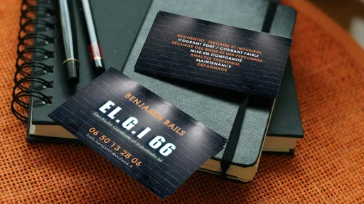 Électricité Générale et Industrielle 66 (ELGI66)