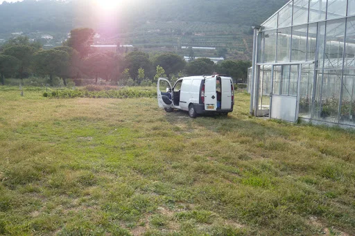 L’Electricité Intelligente – Dépannage, maintenance, modernisation d’installation électriques – Cannes Grasse à Mandelieu-La Napoule