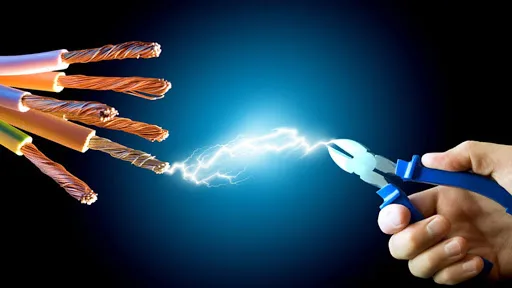 Entreprise Nexonnaise de Services