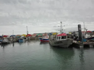 Pochon Professionnel à La Rochelle