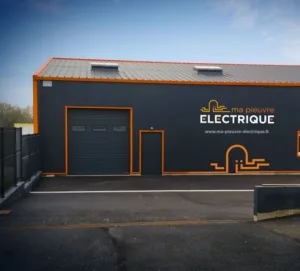 Ma Pieuvre Electrique à Saint-Brevin-les-Pins