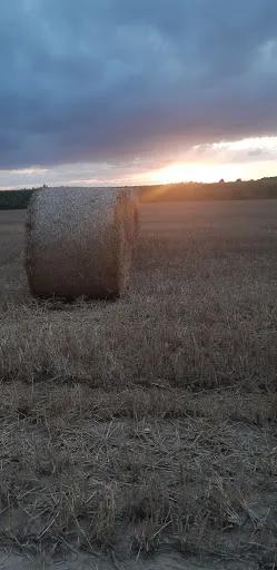 B.S.T à Sévignac