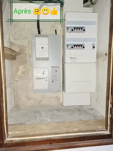 DAM’ELEC
