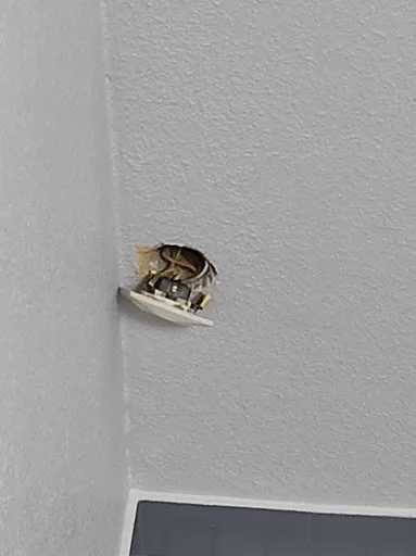 Daligault Electricité