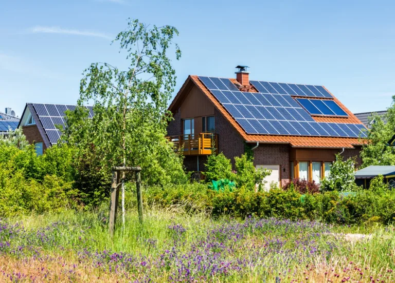 Découvrez combien EDF paie pour l’énergie solaire !