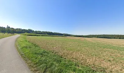 Spie Est à Champagney