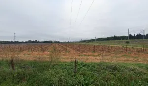 Poste de mise en parallèle de Caissargues à Nîmes