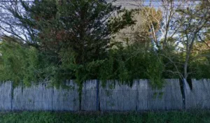 Monsieur Richard Equoy à Aix-en-Provence