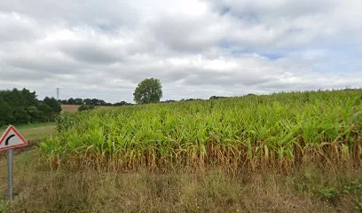 Ehanno Thierry à Plourin-lès-Morlaix