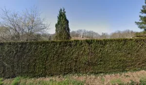 Elv Electricitë à Saint-Jouvent