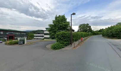 T-REX Plus | Electric Utility Vehicle à Lissieu