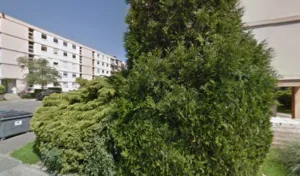 Nurdin Christian à Mont-Saint-Aignan