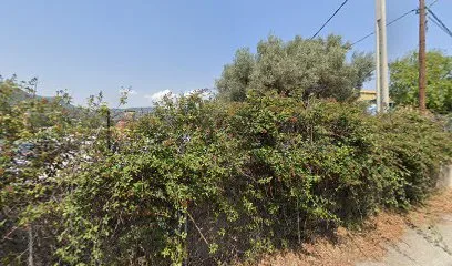 Sa-électric à La Farlède