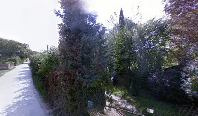 Dindeleux Alain à Bourges