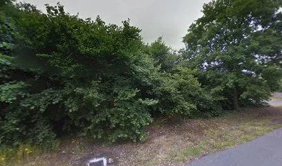 Dongelec à Donges