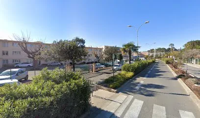 Maltese Bernard à Sanary-sur-Mer