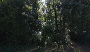 BF TECH à Le Pian-Médoc