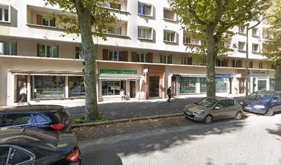 SN2C ELECTRICIEN CHAUFAGISTE à Annecy
