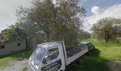Thierry Elec à Grasse