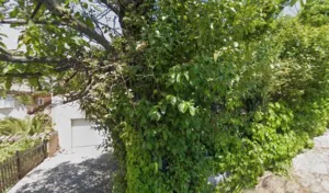 AMBIANCE ELECTRIQUE à Grasse